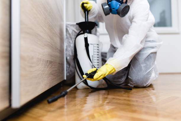 Best Affordable Pest Control Services  in Ridgecrest, FL
