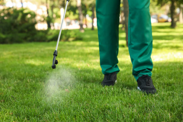 Best Bed Bug Extermination  in Ridgecrest, FL