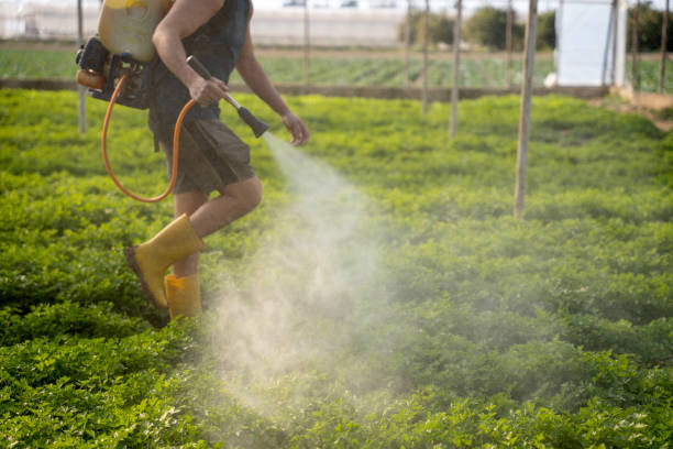 Best Pest Removal Services  in Ridgecrest, FL