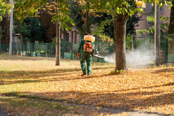 Best Residential Pest Control  in Ridgecrest, FL