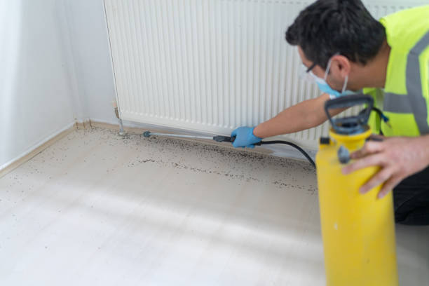 Pest Prevention Services in Ridgecrest, FL