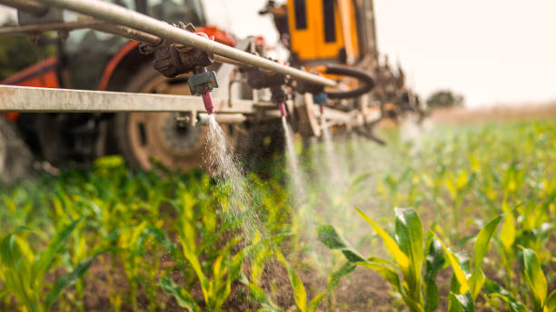 Best Mosquito Control Services  in Ridgecrest, FL
